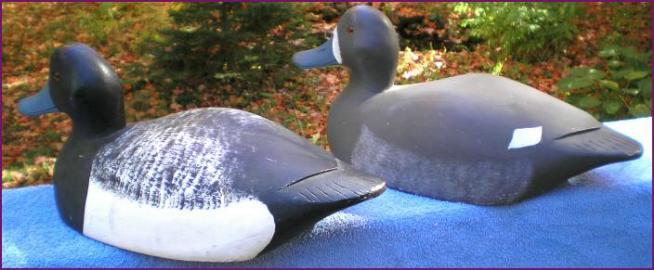 Bluebill Decoys Backs